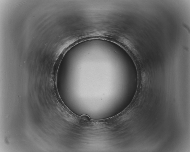 X0000102231308200808011216