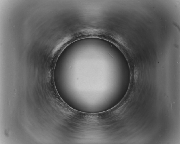 X0000102231309200808011216