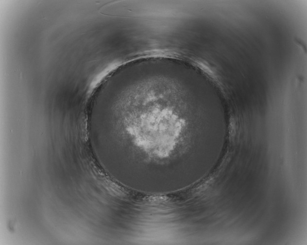 X0000102231310200808011216