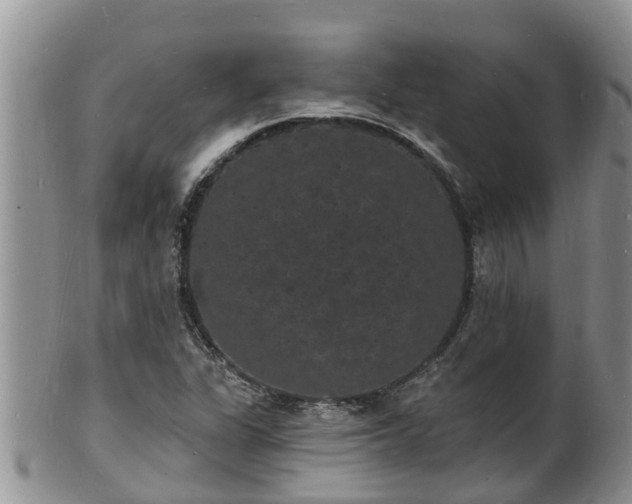 X0000102231311200808011216