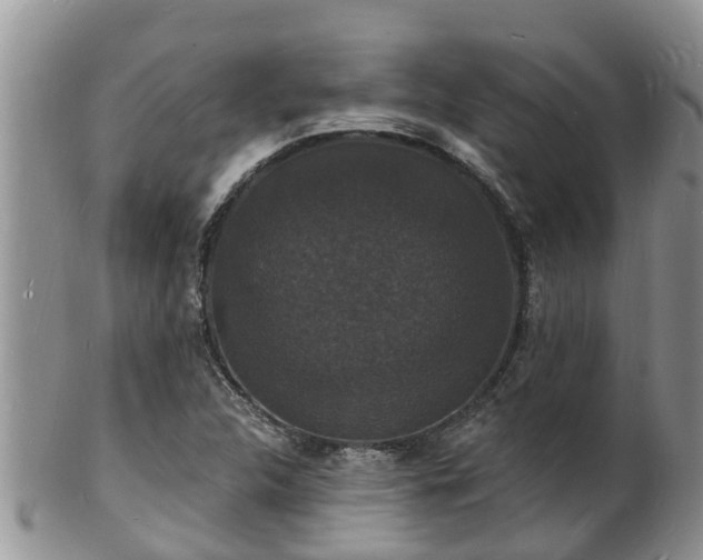X0000102231312200808011216