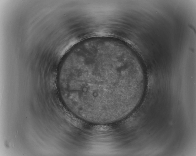 X0000102231314200808011216