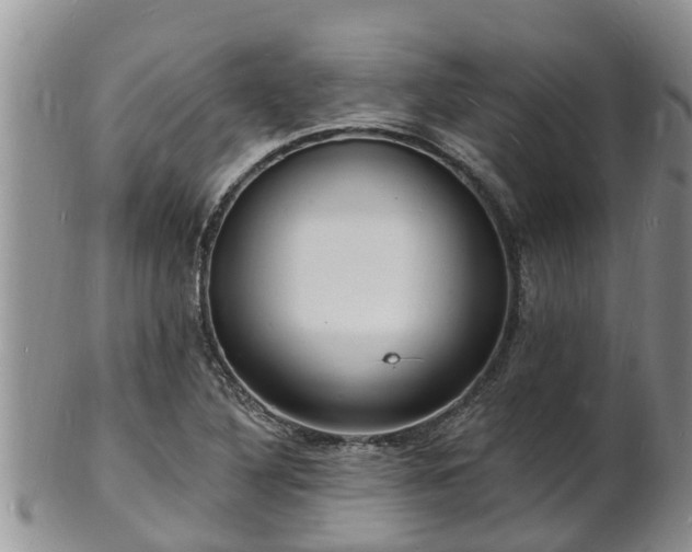 X0000102231316200808011216