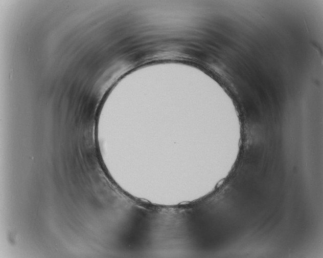 X0000102231322200808011216