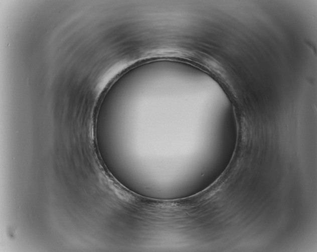 X0000102231328200808011216