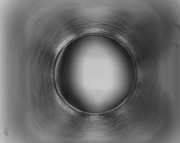 X0000102231330200808011216
