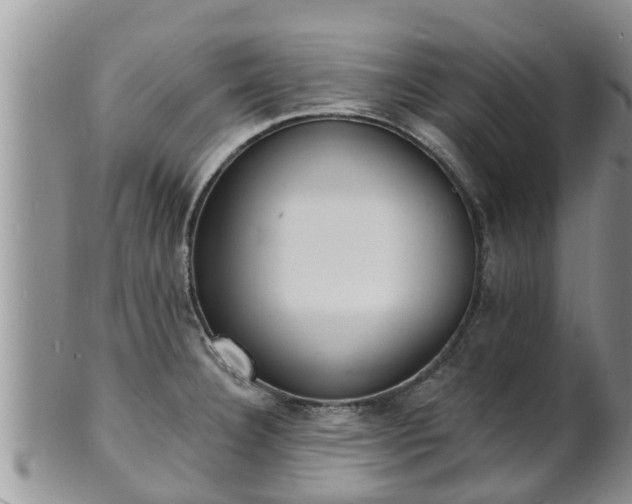 X0000102231332200808011216