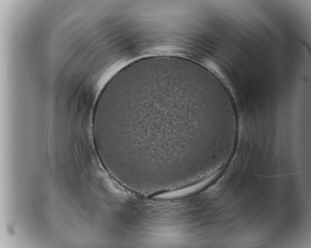 X0000102231336200808011216