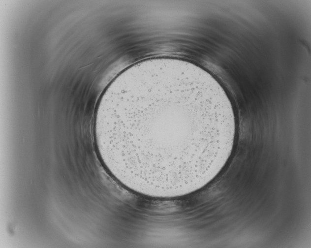 X0000102231338200808011216