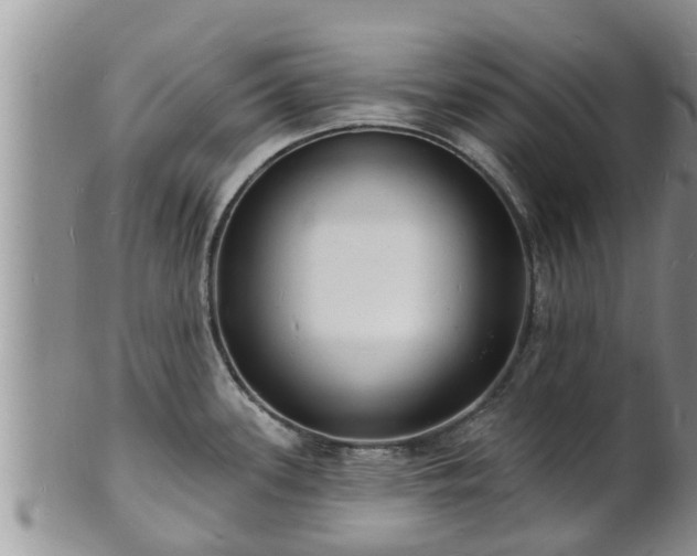 X0000102231339200808011216