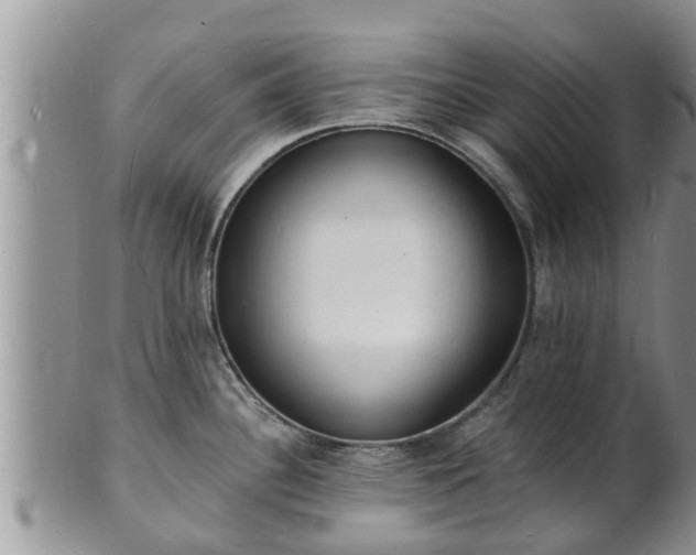 X0000102231340200808011216