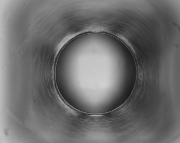 X0000102231343200808011216