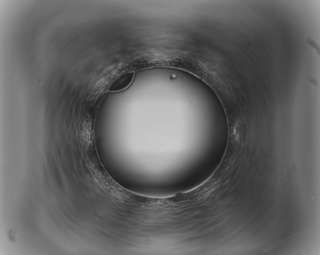 X0000102231348200808011216