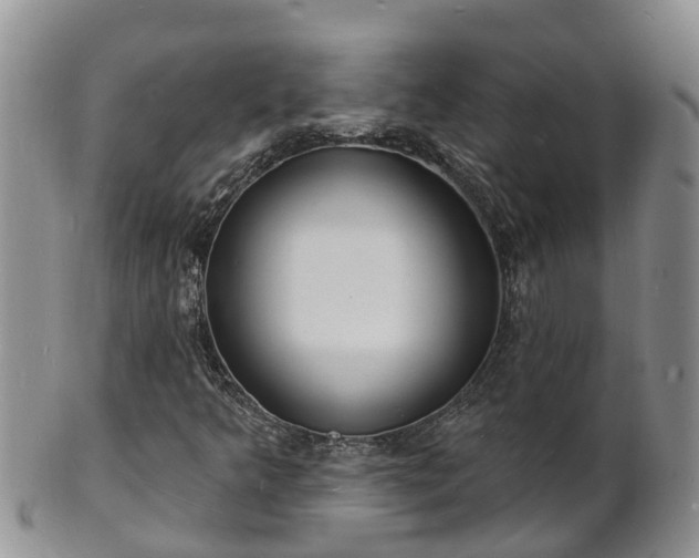 X0000102231349200808011216