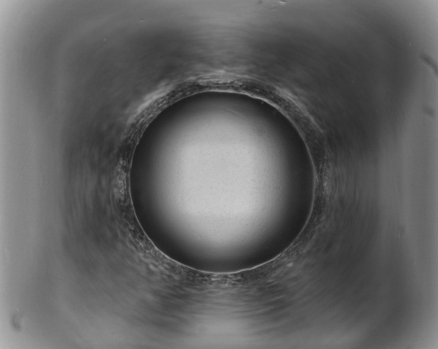 X0000102231350200808011216