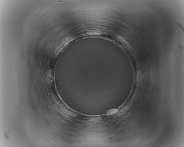 X0000102231353200808011216