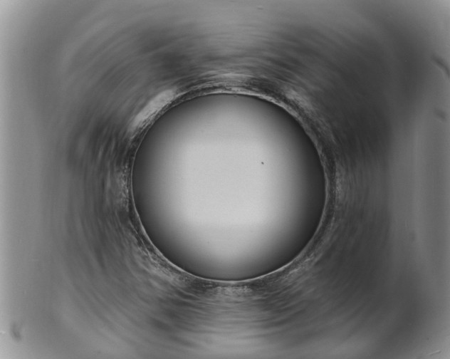 X0000102231354200808011216
