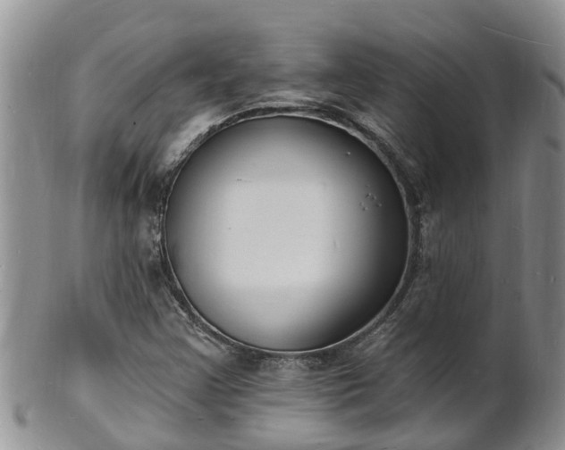 X0000102231355200808011216