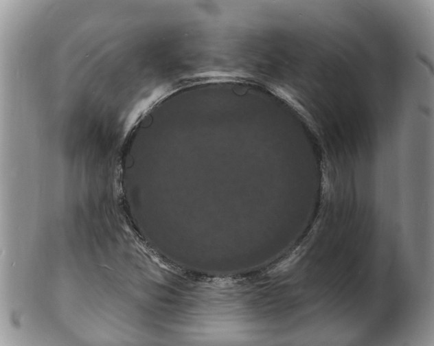 X0000102231357200808011216