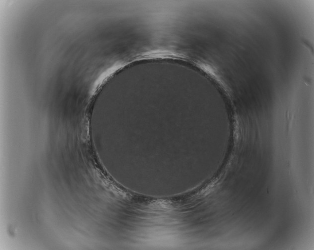 X0000102231358200808011215
