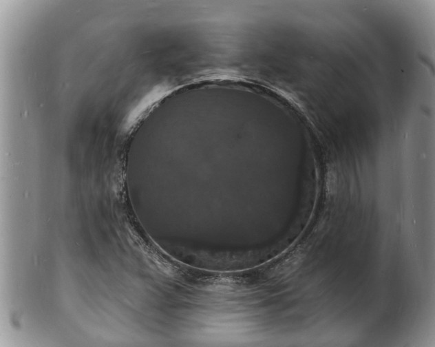 X0000102231359200808011215