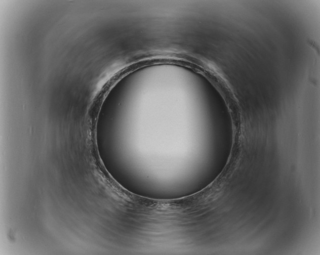 X0000102231360200808011215