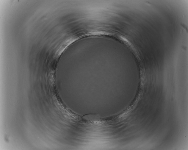 X0000102231361200808011215