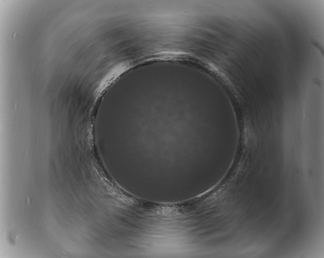X0000102231362200808011215