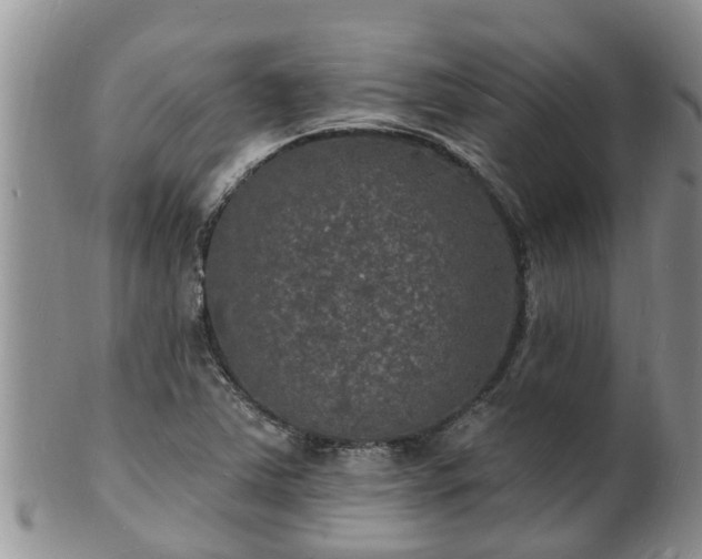 X0000102231363200808011215