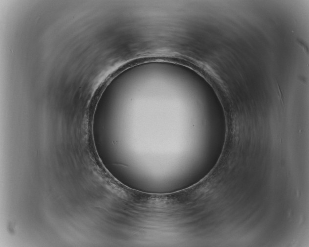 X0000102231364200808011215