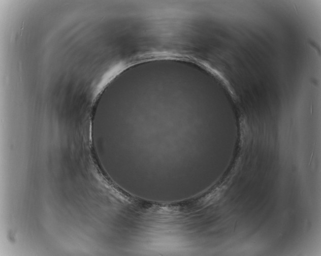 X0000102231365200808011215