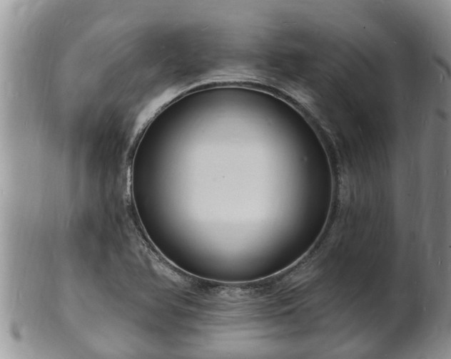 X0000102231366200808011215