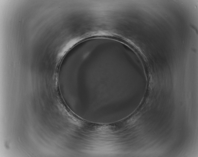 X0000102231367200808011215