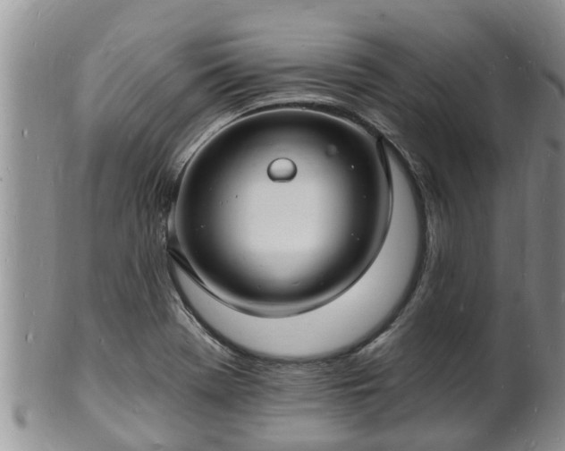 X0000102231369200808011215