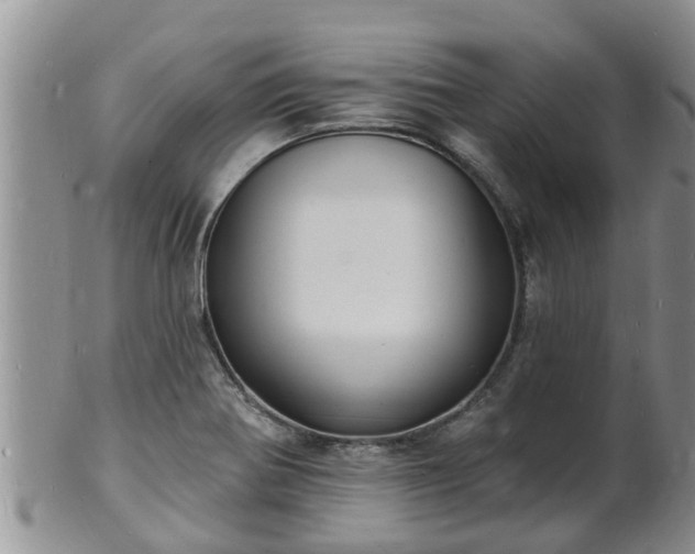 X0000102231370200808011215