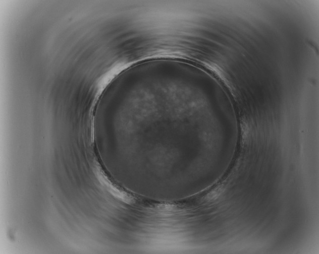 X0000102231371200808011215