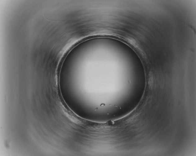 X0000102231372200808011215