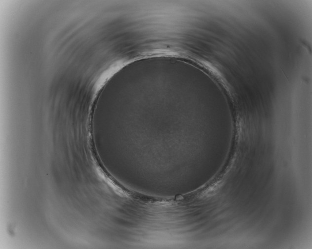 X0000102231373200808011215
