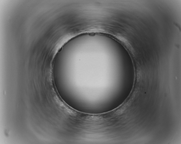 X0000102231374200808011215