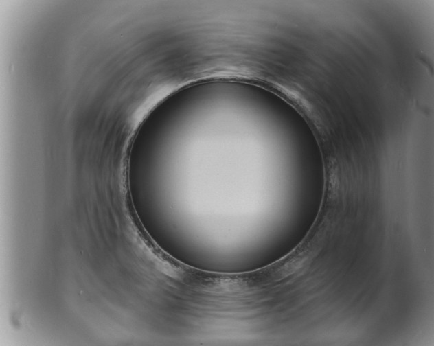 X0000102231375200808011215