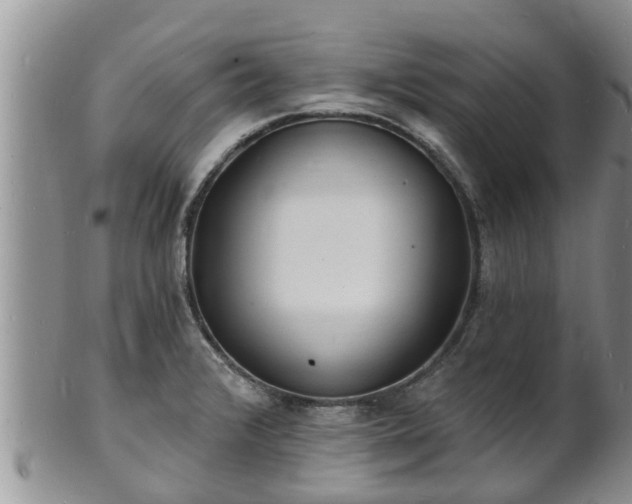 X0000102231376200808011215