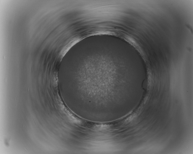 X0000102231377200808011215