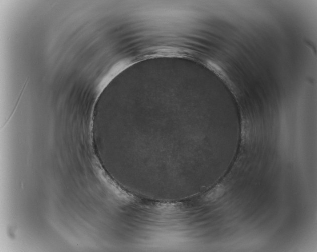 X0000102231378200808011215