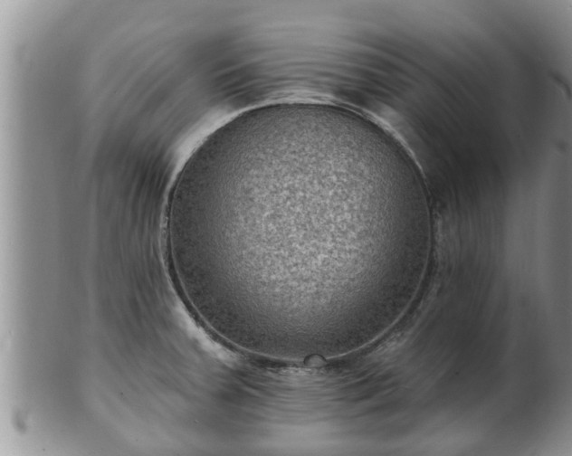 X0000102231379200808011215