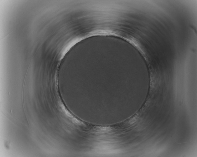 X0000102231382200808011215