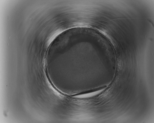 X0000102231383200808011215