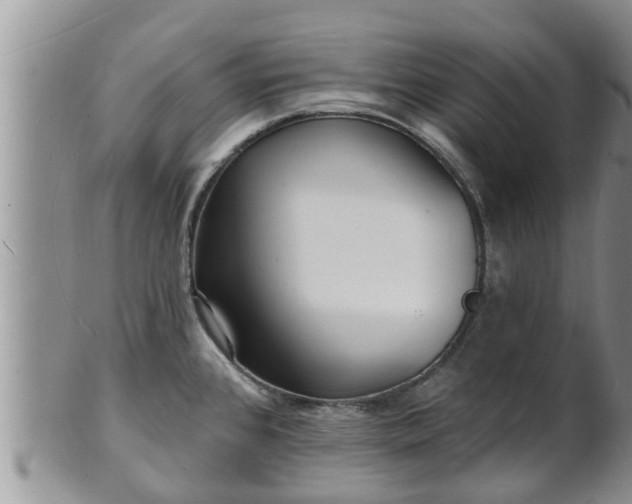 X0000102231384200808011215