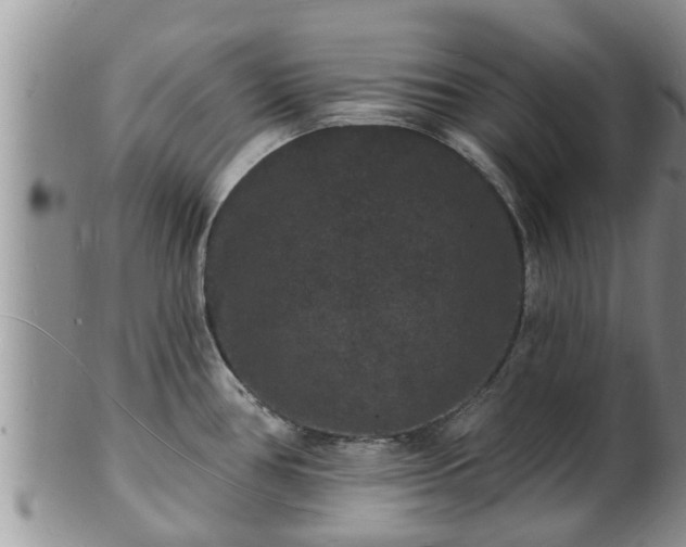 X0000102231386200808011215