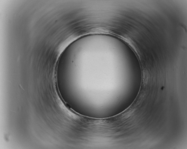 X0000102231387200808011215