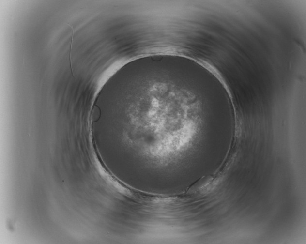 X0000102231389200808011215